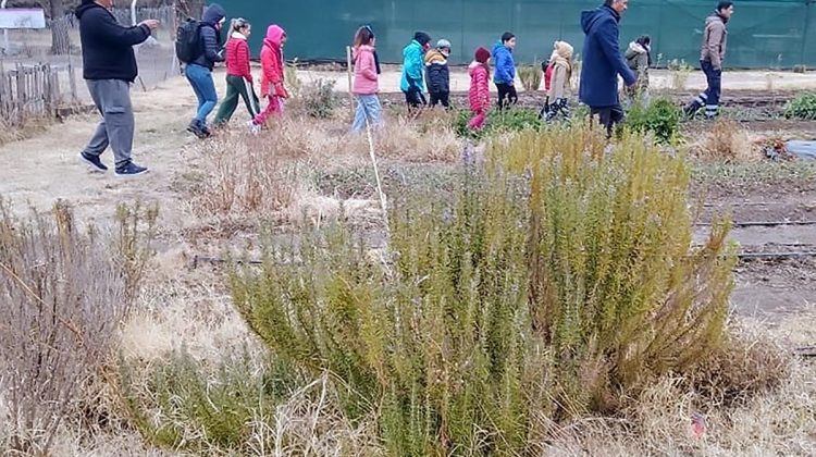 El centro ‘Jardín del Sur’ visitó la Granja Productiva