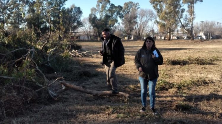 Ambiente constató la extracción de eucaliptos en Villa Mercedes