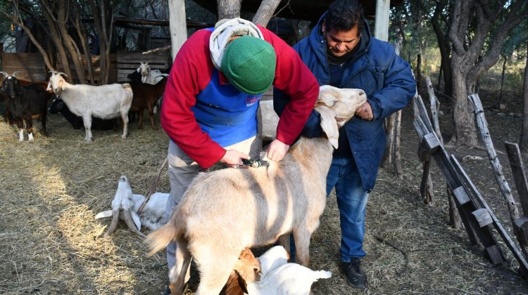 Continúa la asistencia a pequeños productores del interior