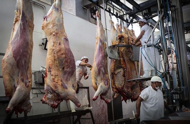 San Luis celebró la baja de retenciones a las carnes y las proteínas animales