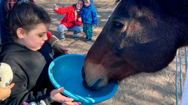 Arrancaron las ‘Equinovacaciones’ en el Centro de Equinoterapia de La Pedrera