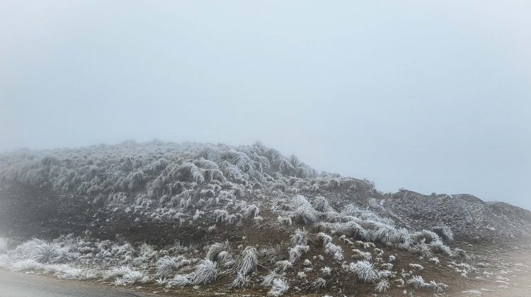 ¿La tormenta de Santa Rosa viene con nieve?