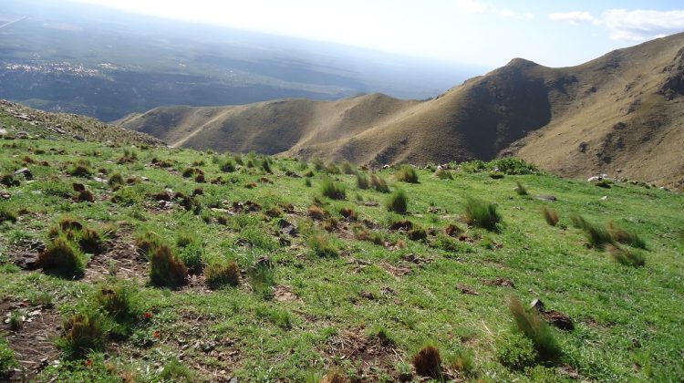 Dictarán un taller de participación ciudadana en Mogote Bayo