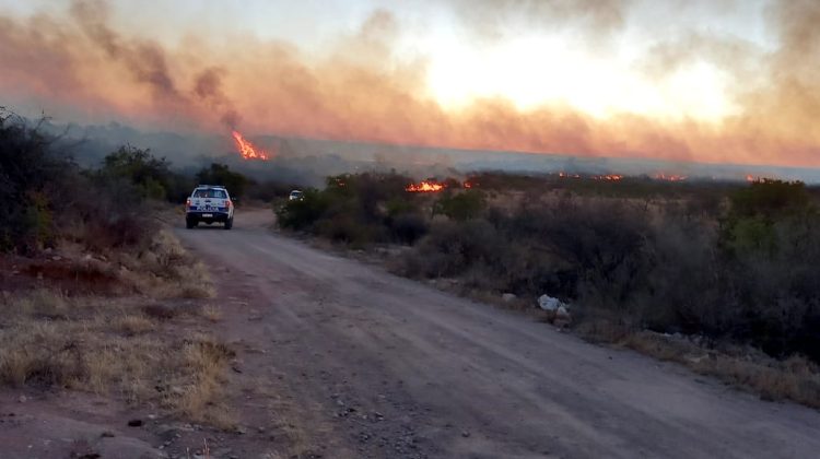 Contuvieron un incendio forestal en cercanías de la estancia ‘Las tres esquinas’