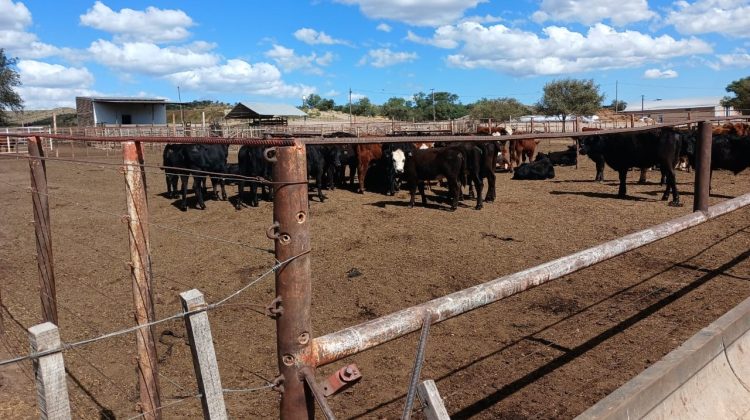 Realizarán un análisis integral por emisiones y malos olores en Donovan