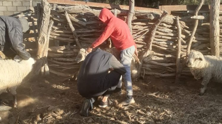 La campaña sanitaria para productores recorre el norte de San Luis