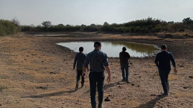 Proyectos de manejo de bosques y ganadería integrada: comenzó el recorrido en establecimientos