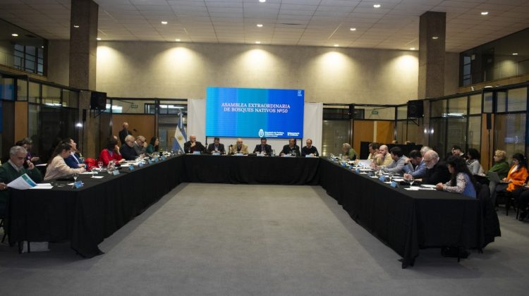 San Luis participó de la 50° Asamblea sobre Bosques Nativos del Consejo Federal de Medio Ambiente