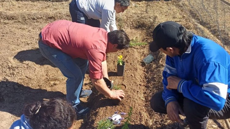 El hospital de El Trapiche tiene una huerta agroecológica