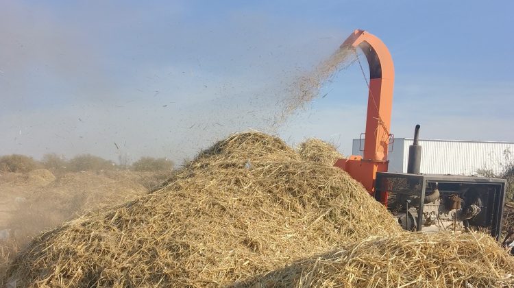 Los viveros recibieron más de 140 toneladas de residuos verdes que serán utilizados para compost