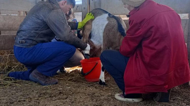 Estudiantes de Veterinaria realizaron prácticas preprofesionales en Sol Puntano