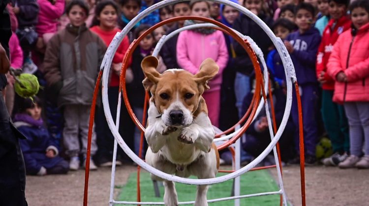 En foco: las mejores imágenes de los actos del Día del Niño