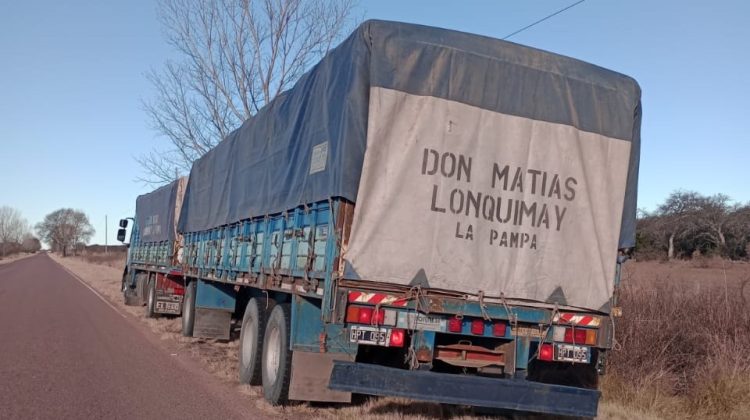 Decomisaron un camión con carga forestal en Arizona