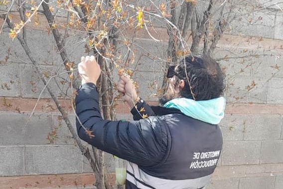 Capacitan a estudiantes sobre cómo erradicar la Mosca de los Frutos