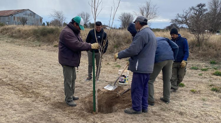 La política forestal llega a todo el territorio provincial: ahora le tocó a Juan Llerena