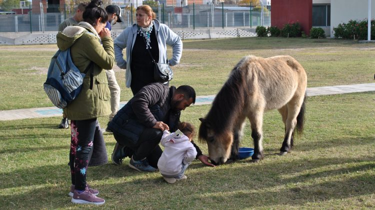 Hubo una jornada recreativa en el Centro de Equinoterapia de La Ribera