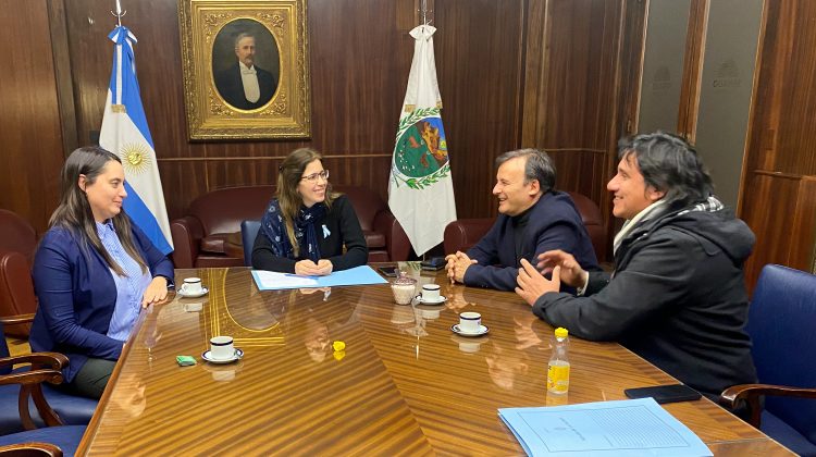 La secretaría de Discapacidad se reunió con la senadora nacional Ivana Arrascaeta