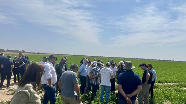 AgroZAL participó de la ‘II Jornada Dinámica en Alfalfa’ realizada en Quines