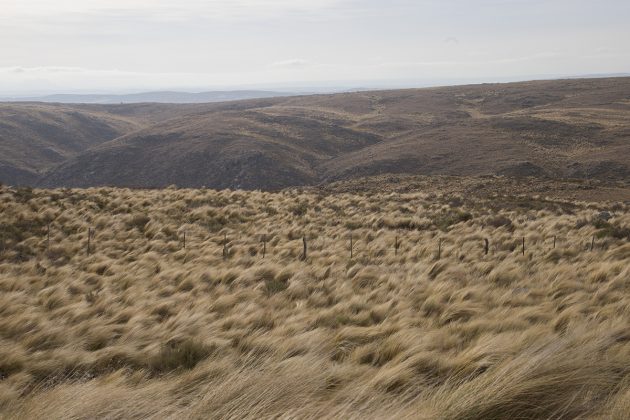 Rige una alerta meteorológica por vientos para el norte provincial