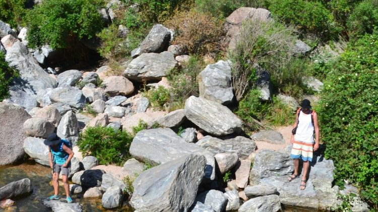 La reserva Quebrada de Villa Elena se prepara para recibir la primavera