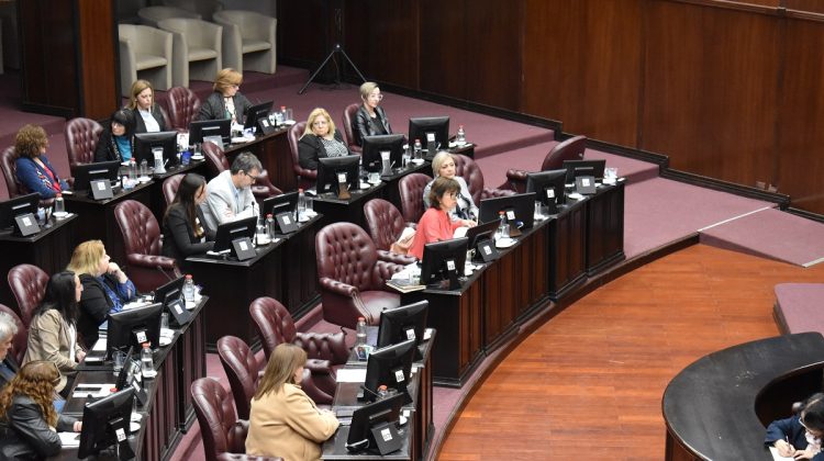 Ya tiene media sanción la reincorporación de San Luis al Consejo Vial Federal