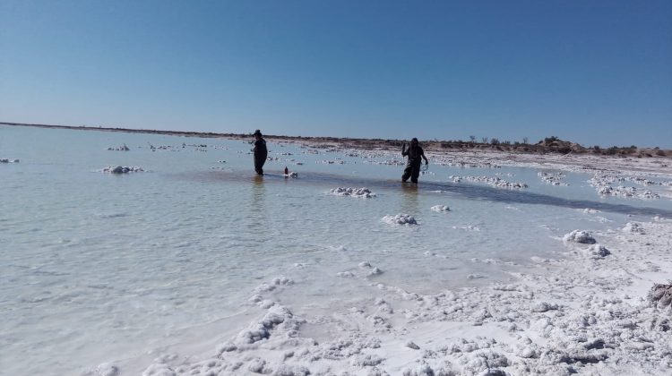 Tomaron muestras de agua de las Lagunas de Guanacache, Desaguadero y del Bebedero