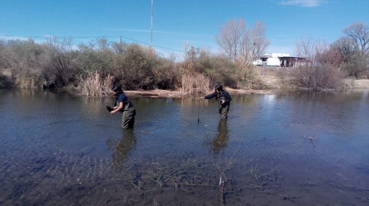 San Luis Agua fiscalizó los sistemas del río Conlara