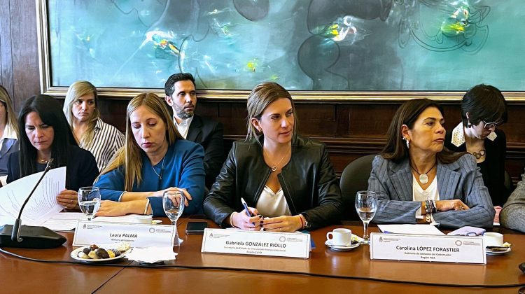 San Luis participó del Consejo Federal de Relaciones Exteriores y Comercio Internacional