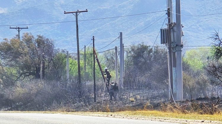 Los incendios en el noreste dañaron más de 650 metros de fibra óptica