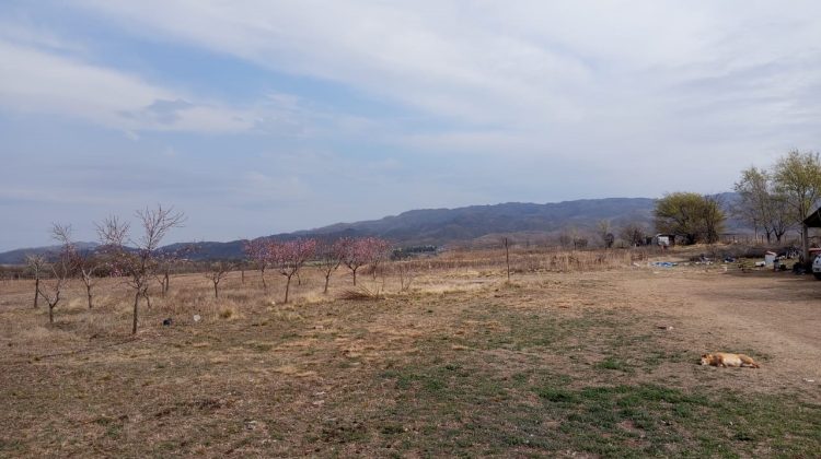 Inspeccionaron un campo de Estancia Grande por uso indebido de agroquímicos 