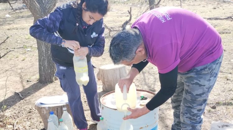 Brigadas fitosanitarias combaten la mosca de los frutos en Villa Mercedes 