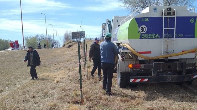 Avanza la forestación en la Ruta Provincial Nº9 