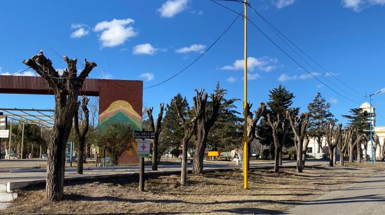 Ambiente constató podas desmedidas de árboles en San José del Morro