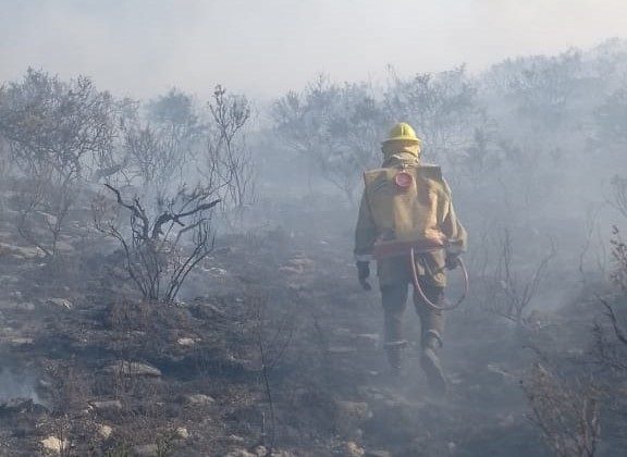 Bomberos y brigadistas contuvieron el incendio de Paso Grande y La Vertiente