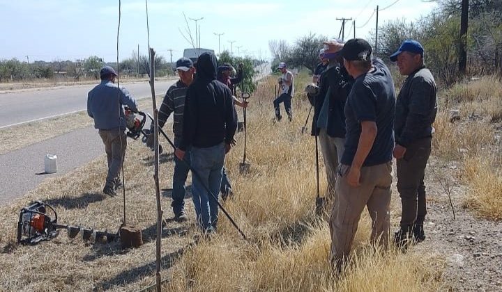 Avanza la forestación en la autopista 25 de Mayo