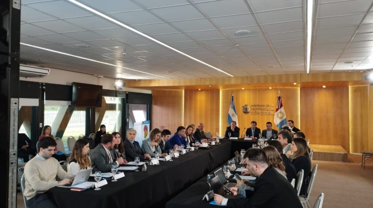 El ministerio de Desarrollo Productivo participó del Consejo Federal MiPyME