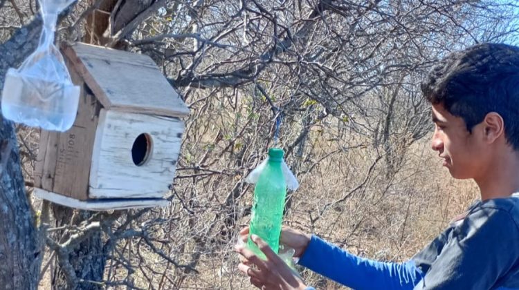 ‘Guardianes del Viento’, un proyecto escolar que promueve la conservación de las aves autóctonas