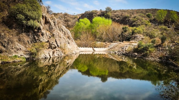 La semana pinta con temperaturas en ascenso y viento norte