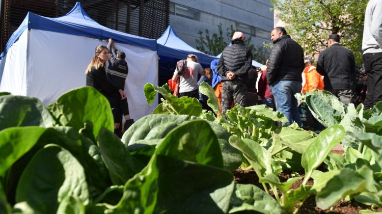 Continúan las capacitaciones y entrega de semillas del programa ‘Activá tu huerta’