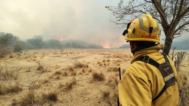 Bomberos y brigadistas combaten el incendio en el departamento San Martín