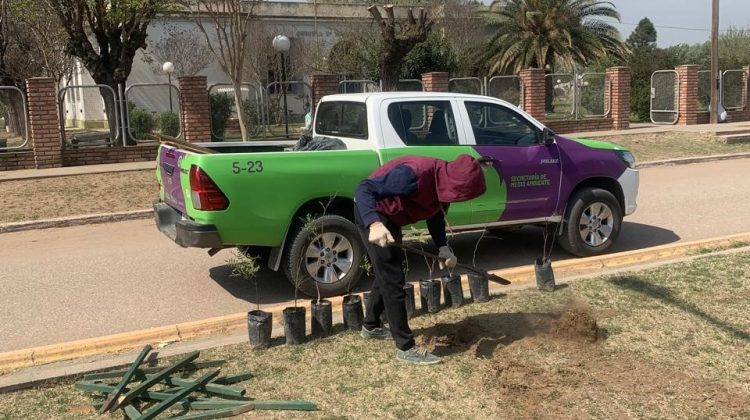 Estudiantes se sumaron a las tareas de forestación en Fortuna