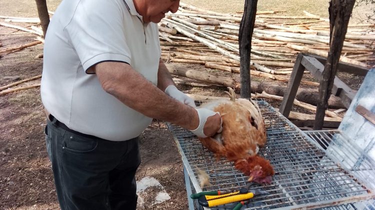 Realizaron un control sanitario en la Granja Productiva Escolar