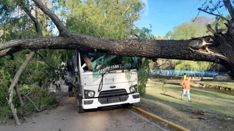 El viento que sopló en El Trapiche tiró un árbol sobre el camión sanitario