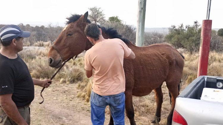 Más de 100 productores afectados por los incendios recibieron asistencia del Gobierno