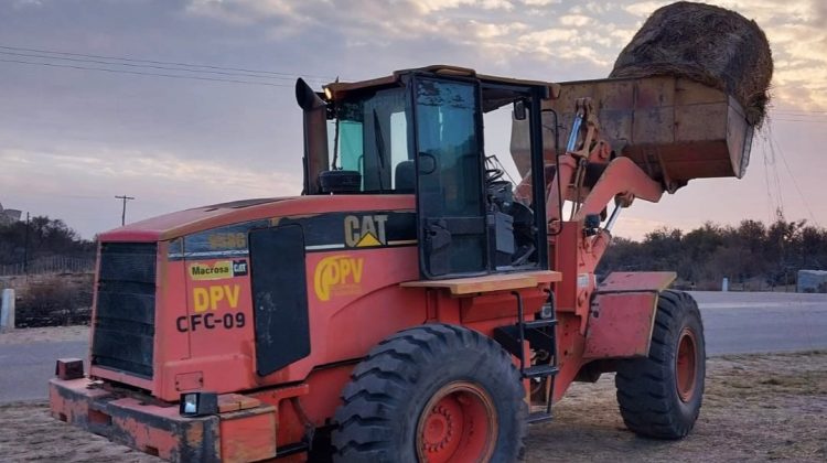 Distribuyen agua y alimentos para animales en la zona afectada por los incendios