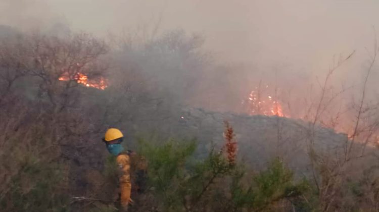 El Gobernador agradeció a los bomberos por su enorme trabajo