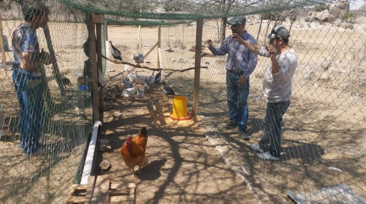 Más del 60% del departamento San Martín ya recibió asistencia tras los incendios