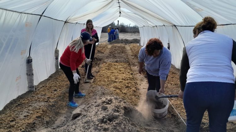 Beneficiarios del Plan de Inclusión se capacitaron y generaron un invernadero productivo