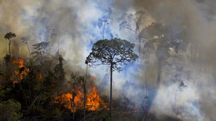 Advierten que el humo de los incendios forestales en Brasil y Bolivia llegaría a la provincia