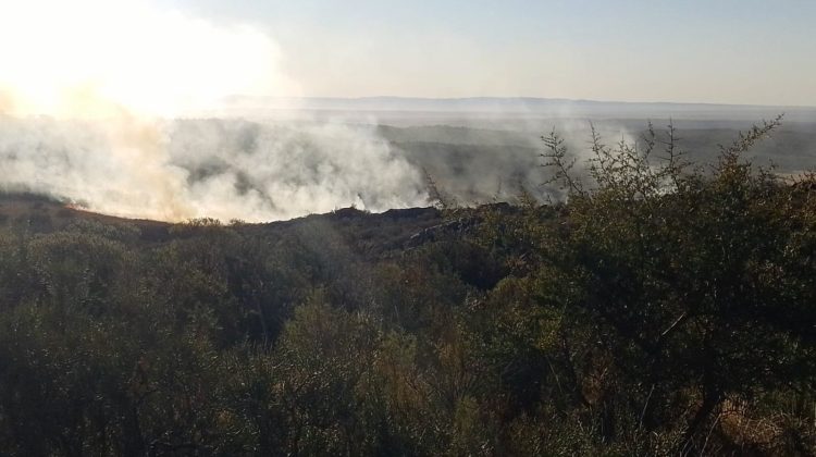 Siguen los trabajos de bomberos y brigadistas en el incendio de La Vertiente